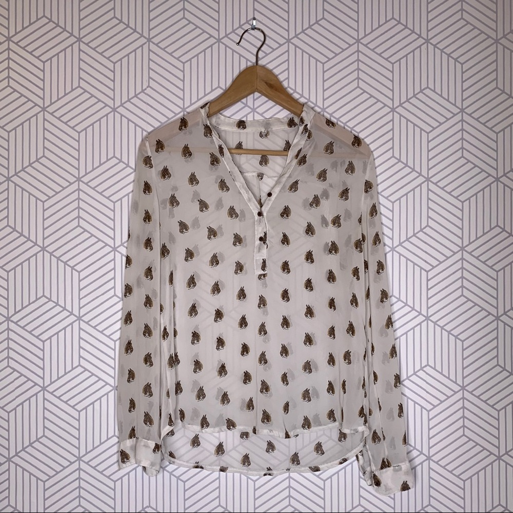 Sheer long sleeve blouse